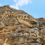 Penemuan Tak Terduga di Tiongkok: Dinosaurus Raksasa Tongnanlong Zhimingi Ditemukan