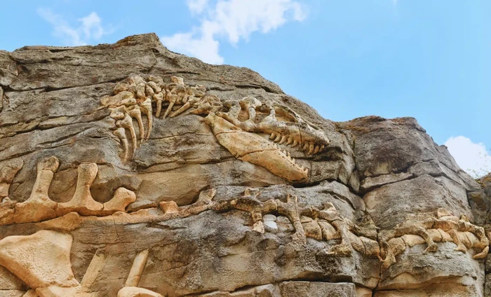 Penemuan Tak Terduga di Tiongkok: Dinosaurus Raksasa Tongnanlong Zhimingi Ditemukan